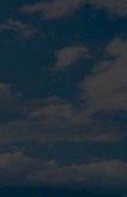 25% window privacy film toronto