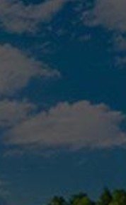 30% window privacy film toronto